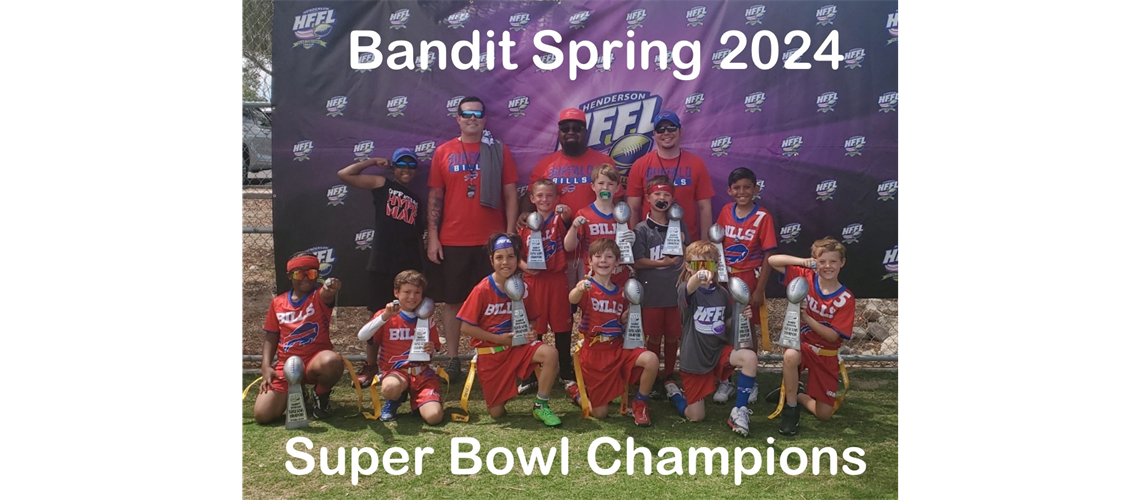 Bandit Super Bowl Winner